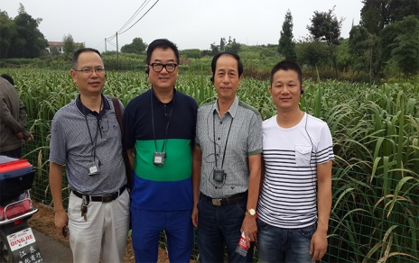 2014年8月，中國蔬菜流通協(xié)會(huì)會(huì)長戴中久與公司、市場領(lǐng)導(dǎo)一起考察蔬菜基地